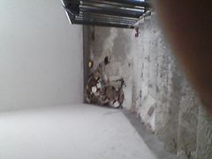 -小杨烤肉(朱雀店)