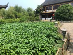 -重元寺香积厨素斋馆