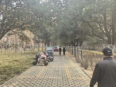 -达活泉公园