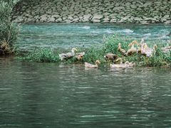 -鹿亭中村