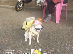 -龙虎塔