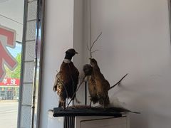 -华龙特色大骨鸡农家菜馆