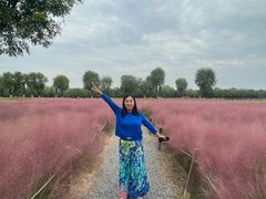 -汉长安城未央宫国家考古遗址公园