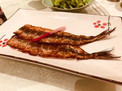 -锦粤宫·融合粤菜(上海金沙江店)