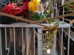 -湊湊火锅·茶憩(皇姑万象汇店)