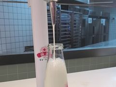 -红星前进面包牛奶公司(君太店)