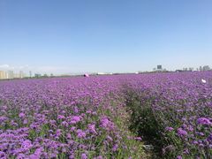 -赛汗塔拉风情园