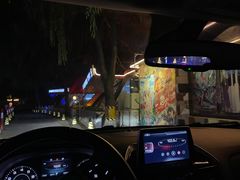 -枫花园汽车电影院(朝阳公园店)