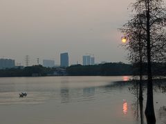 -海珠湖公园