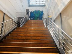 -梧桐阳光国际游泳健身会所(亚运村店)