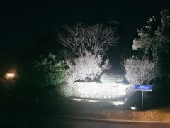 -浙江安吉JW万豪酒店