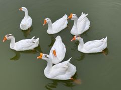 -中国计量大学(西校区)