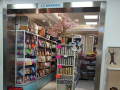 -北京观赏动物医院·24小时大型综合·猫专科·异宠专科