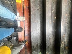 -天鹿湖森林公园