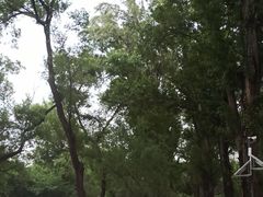 -黑龙江中医药大学