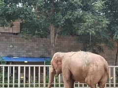 -石家庄市动物园