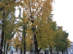 -百林公园-两江幸福广场