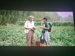 -CGV星星影城(颐堤港ScreenX店)