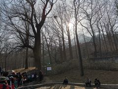 -阳台山自然风景区