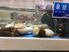 -双井轩(双井店)