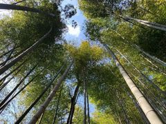 -会稽山峡洞漂流-上青古道