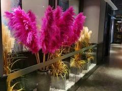 -蜀九香火锅(江油店)