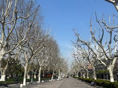 -杭州君悦酒店