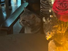 -咖法森林·咖啡  酒吧(天河店)