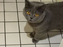 -ID.PHOTO照相馆(嘉里企业中心店)