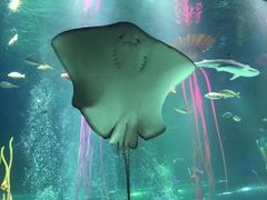 -沈阳海洋探索中心