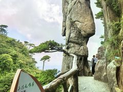 -三清山风景名胜区