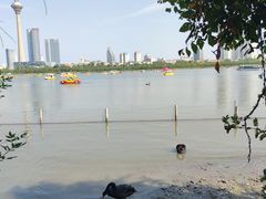 -天津水上公园
