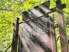 -青峰峡国家森林公园