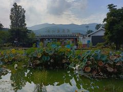 -国家植物园南园