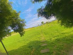 -紫颐香薰山谷景区