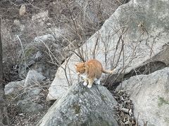 -北京凤凰岭