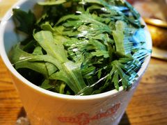 -四喜小胖·北京涮肉(五道营店)