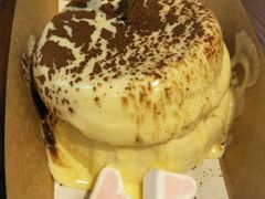 小提苏梳乎厘-狐狸和向日葵(北京路店)
