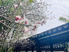 -江宁织造博物馆