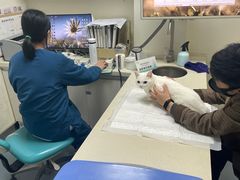 -奈斯宠物医院·核磁CT·异宠专科·内镜(中南店)