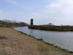 -春花秋色城市公园