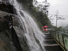 -九龙江国家森林公园