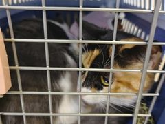 -酷宠动物医院(天通西苑店)