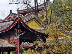 -华清宫景区