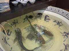 -南京金牛湖巨碗鱼头