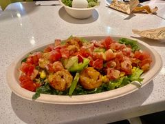 -油梨树 AVOCADO TREE(亮马桥店)