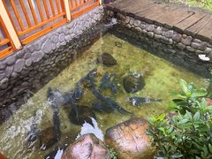 -耕渔小院·湖南鱼鲜(望城店)