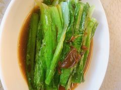 -百利鸽王(紫薇路店)