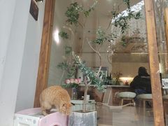 -COTTON CAFE(德信·中外公寓店)