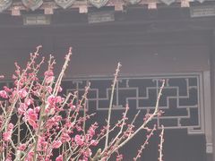 -锦香园餐厅(建工大厦店)